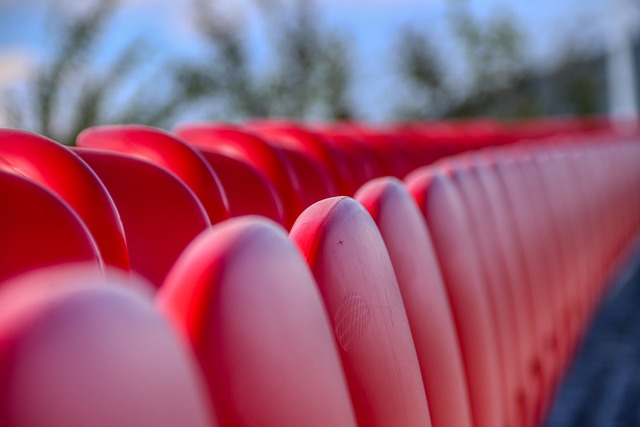 的滑翔伞盛 的滑翔伞盛