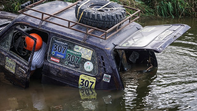 更是为了挑 更是为了挑