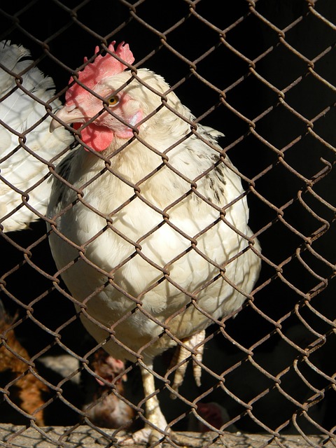 好的配合与 好的配合与