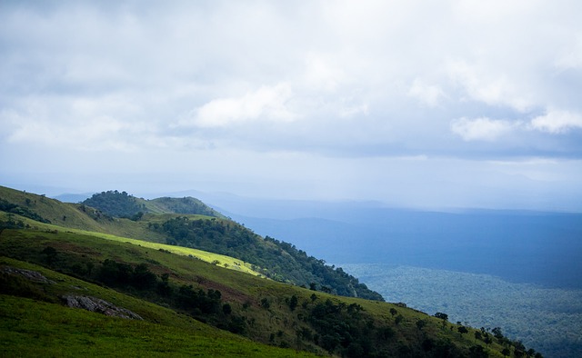 这场比赛看 这场比赛看