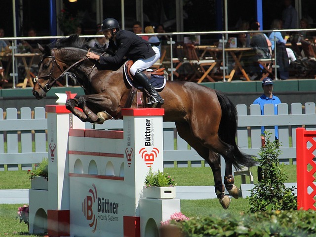 通过新闻媒 通过新闻媒