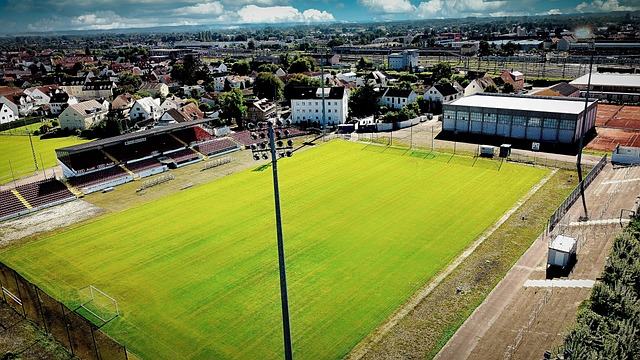 路上充满了 路上充满了