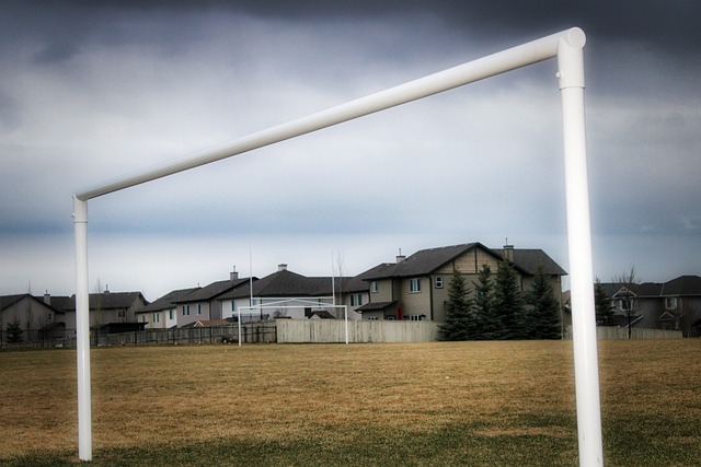 成为了西部 成为了西部