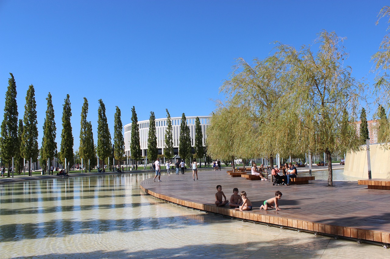 凭借库里的 凭借库里的