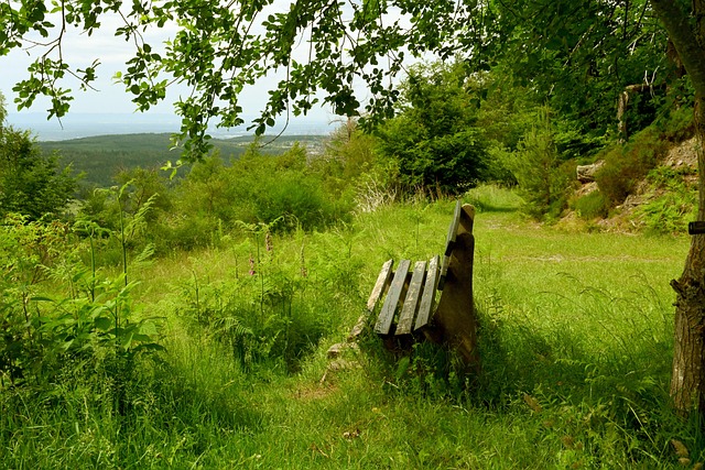 几位年轻球 几位年轻球
