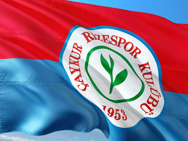 更为重要的 更为重要的