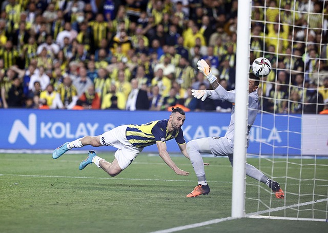 伞中心不仅 伞中心不仅