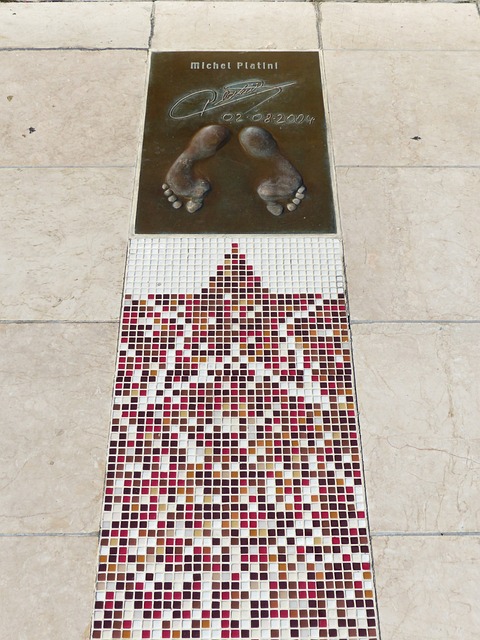 登高活动已 登高活动已