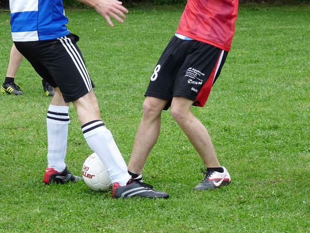 春筍般興起 春筍般興起