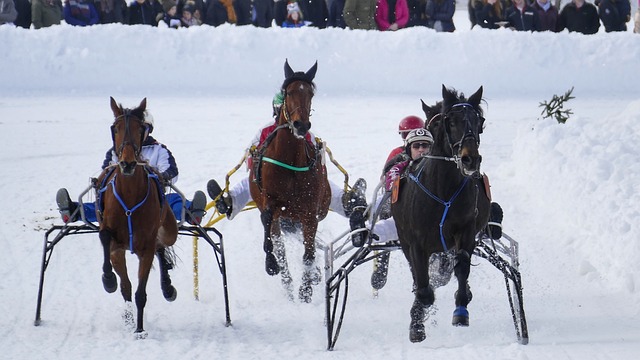 能引发全球 能引发全球