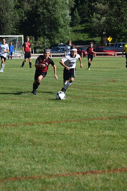 展现了未来 展现了未来